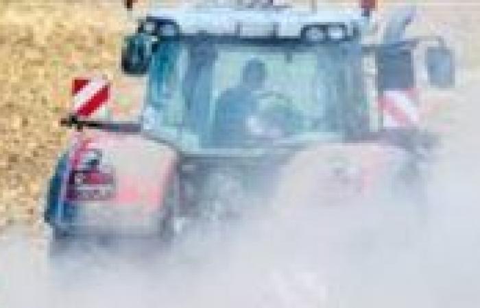 جرار يتسبب في مصرع وإصابة 5 أطفال بالفرافرة.. أسماء