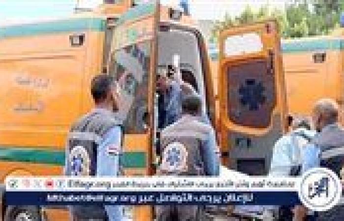 شاب يقتل والده ويطعن والدته فجرًا في سنورس بسبب خلاف مالي