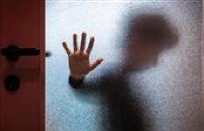 "صورهم وابتزهم".. تفاصيل اعتداء مسجل خطر على أطفال جنسيا في البحيرة