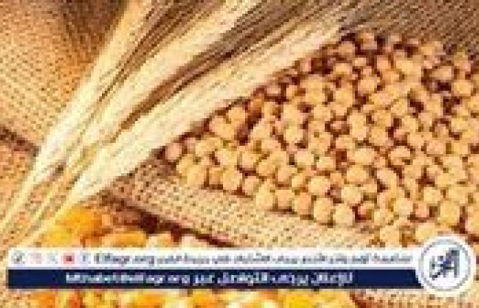 وزير الزراعة يكشف خطة تحقيق الاكتفاء الذاتي من القمح وتعزيز الصادرات لإفريقيا