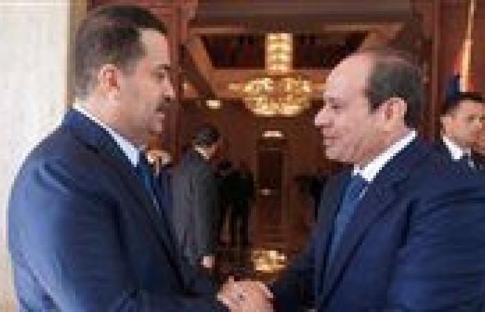 مصر والعراق تبحثان تعزيز التعاون المشترك في المجالات الاقتصادية والتجارية