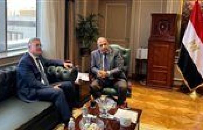 وزيرا الكهرباء والبترول يتابعان خطة العمل التكاملية لتأمين التغذية الكهربائية