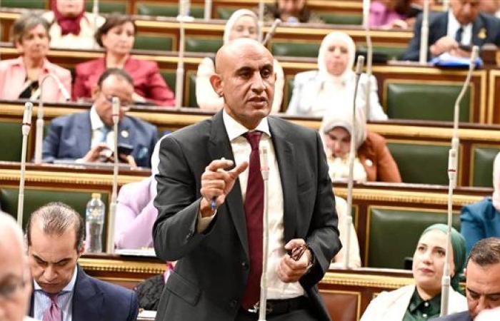 وزير التعليم أمام البرلمان: "البكالوريا المصرية" بداية جديدة لتعليم مرن ومتكامل
