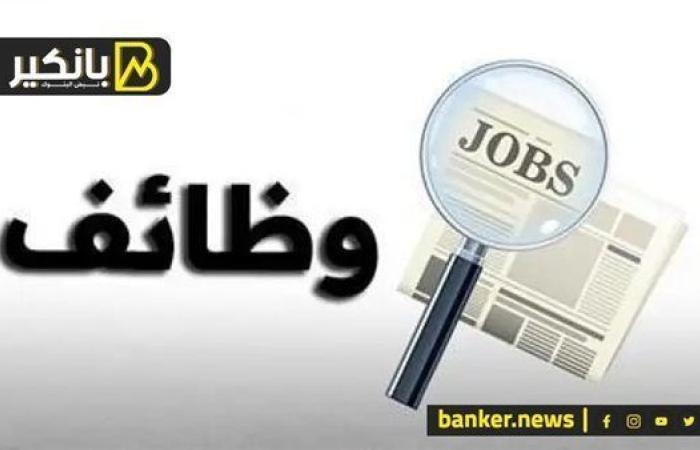 بمرتبات 11 ألف جنيه.. وظائف جديدة في مصر