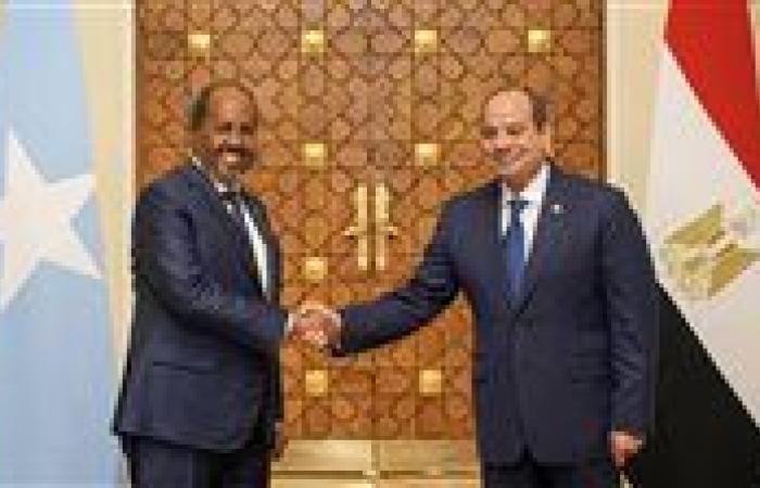 خبير يوضح دلالات زيارة الرئيس الصومالي إلى مصر