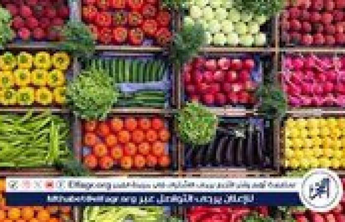 أسعار الخضروات اليوم الثلاثاء 8-7-2025 في قنا