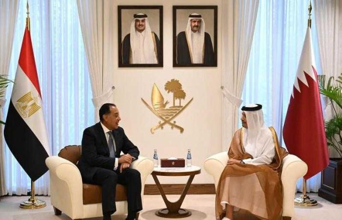 رئيسا
      وزراء
      مصر
      وقطر
      يبحثان
      دعم
      الاستثمارات
      المشتركة - غاية السعودية
