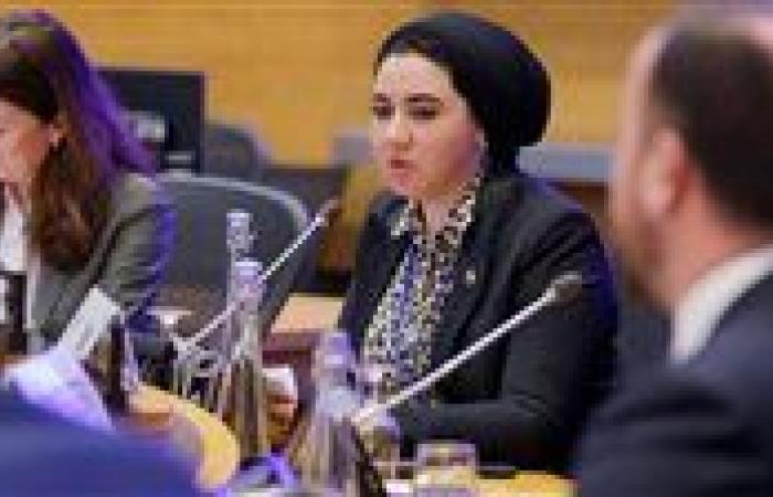 مجلس النواب يوافق على استقالة النائبة أميرة صابر لخوض انتخابات الشيوخ 2025
