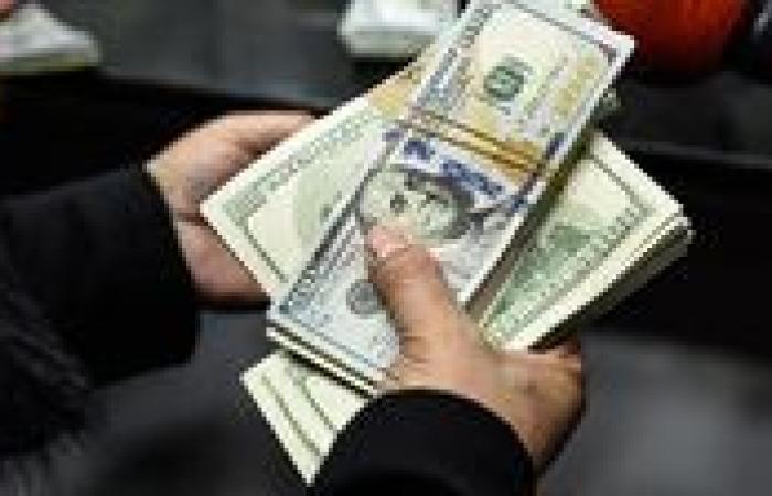 ضبط قضايا اتجار في العملات الأجنبية بـ16 مليون جنيه خلال 24 ساعة