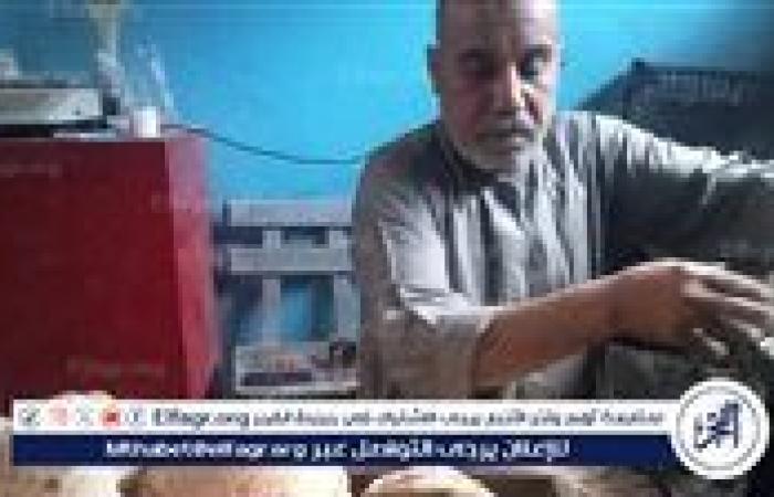 وكيل وزارة التموين يواصل جولاته التفتيشية على المخابز البلدية بمحافظة قنا