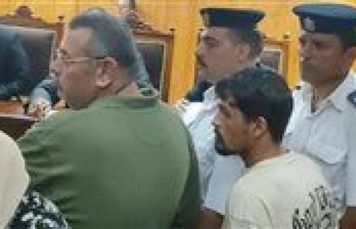 الحكم 15 سنة لسائق التريلا و5 سنوات لصاحب السيارة في قضية دهس فتيات المنوفية