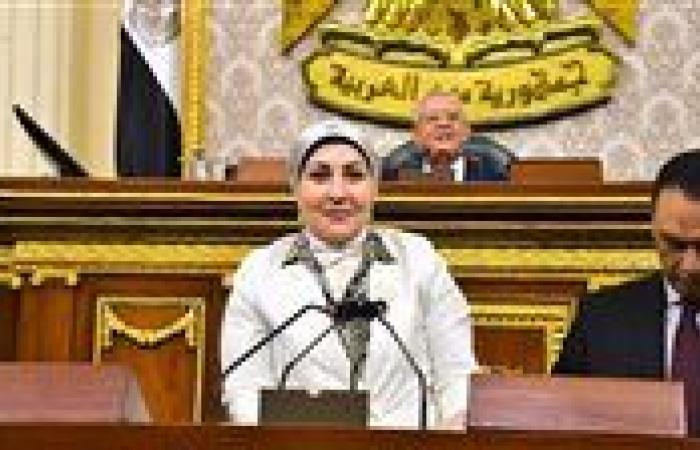 النائبة هالة أبو السعد رئيسًا للاتحاد المصري لتمويل المشروعات المتوسطة والصغيرة ومتناهية الصغر