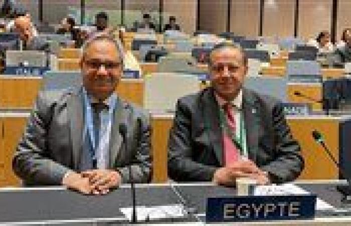مصر تؤكد التزامها بدعم منظومة الملكية الفكرية وتطويرها وفقًا للمعايير الدولية