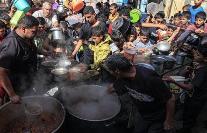 مدير الأغذية العالمي بمصر: لدينا مئات الشاحنات جاهزة لدخول غزة فور فتح المعابر