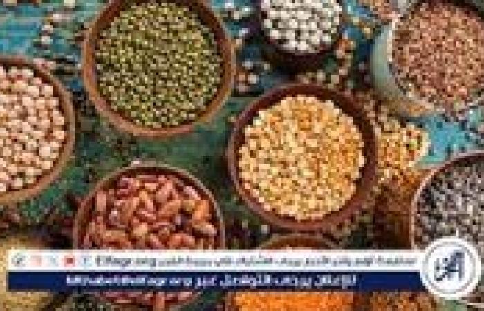 أسعار البقوليات اليوم الاربعاء 9-7 -2025 في أسواق ومحال محافظة الدقهلية