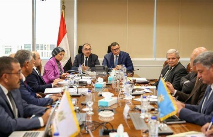وزيرا الإسكان وقطاع الأعمال العام يبحثان مستجدات التعاون في عدد من الملفات