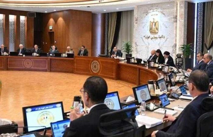 مجلس
      الوزراء
      يُخصص
      190
      فدانًا
      بوادي
      النطرون
      لإنشاء
      منطقة
      لوجستية
      وميناء
      جاف - غاية السعودية