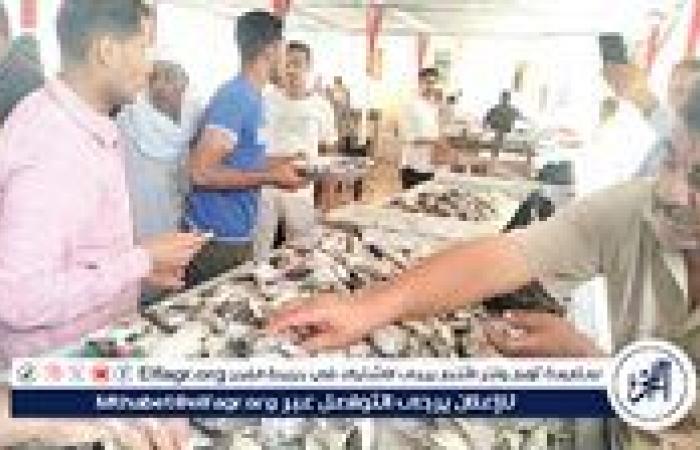 أسعار السمك اليوم الخميس 10-7-2025 في محافظة قنا