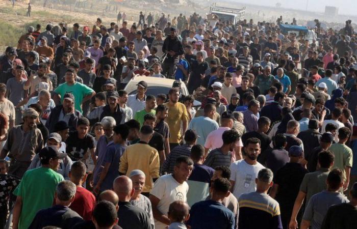 ارتفاع عدد الشهداء الصحفيين فى غزة إلى 229 شهيدا
