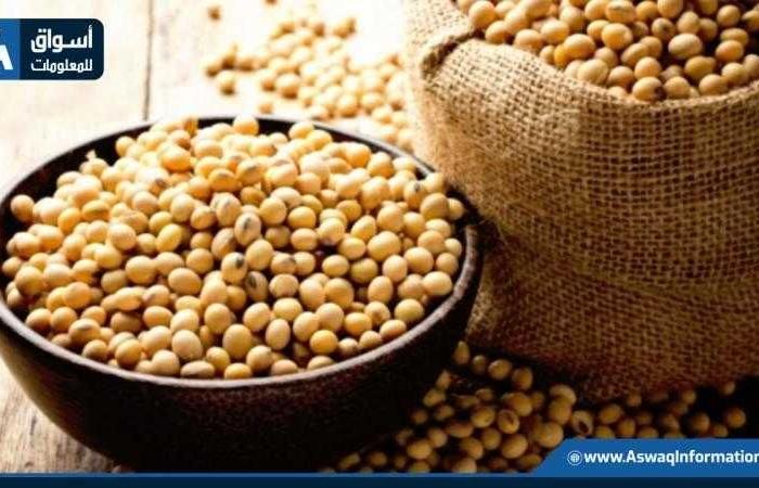 توقعات
      بارتفاع
      صادرات
      البرازيل
      من
      فول
      الصويا
      إلى
      44
      مليون
      طن
      في
      6
      شهور - غاية السعودية