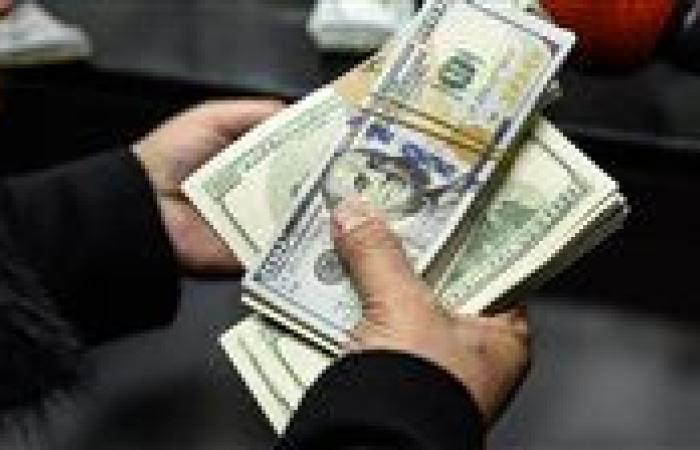 ضبط قضايا اتجار في العملات الأجنبية بقيمة تقترب من 4 ملايين جنيه خلال 24 ساعة