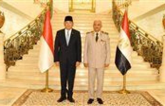 المتحدث العسكرى: القائد العام للقوات المسلحة وزير الدفاع والإنتاج الحربى يلتقى وزير الدفاع الإندونيسى