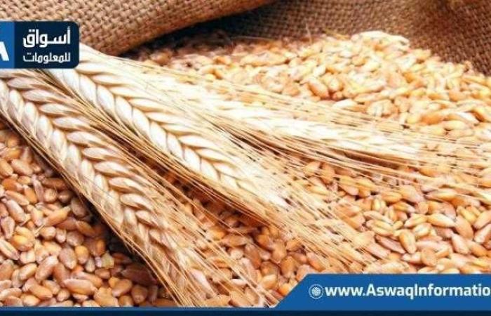 أسعار
      القمح
      اليوم
      الأحد
      عند
      التاجر..
      الطن
      الروسي
      بكام - غاية السعودية