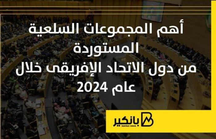 أهم المجموعات السلعية المستوردة من دول الاتحاد الإفريقي خلال عام 2024 | إنفوجراف
