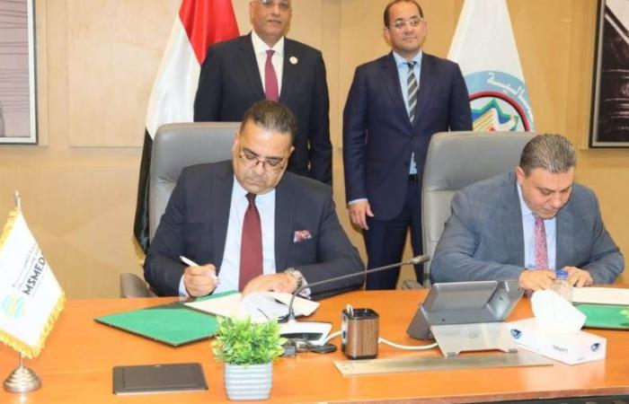 وزير المالية: 5 مليار جنيه أكبر مساندة اقتصادية للمشروعات المتوسطة والصغيرة ومتناهية الصغر
