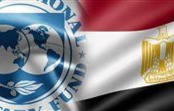 كابيتال إيكونوميكس: مصر بحاجة لدعم صندوق النقد لكسب ثقة المستثمرين حتى لو غطت احتياجاتها