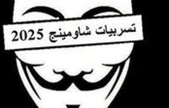 بعد تسريب كشوفات نتيجة الثانوية العامة 2025.. من هو شاومينج؟ تاريخ ظهوره وطريقة تسريبه لامتحانات الثانوية العامة