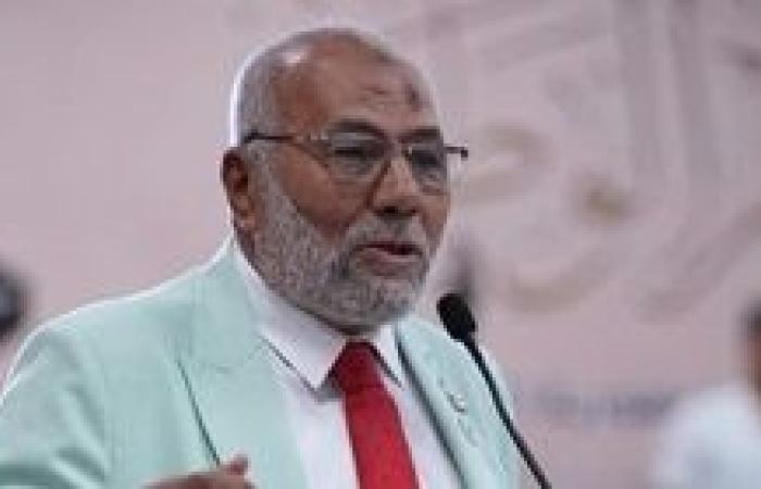 رئيس العدالة الاجتماعية: مصر تقود نموذجا متكاملا لتعزيز السلم في إفريقيا