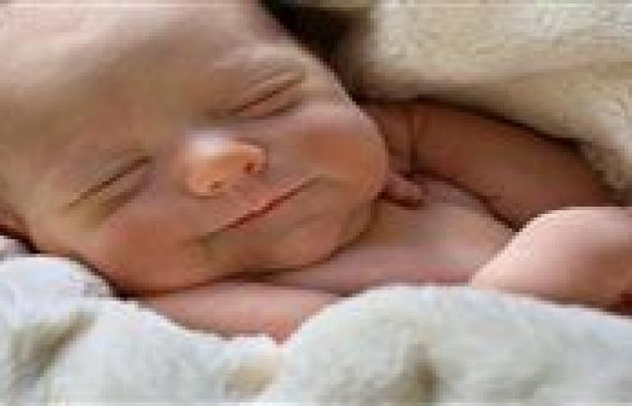 الأجهزة الأمنية تكثف جهودها لكشف ملابسات العثور على طفلين حديثي الولادة في أسوان