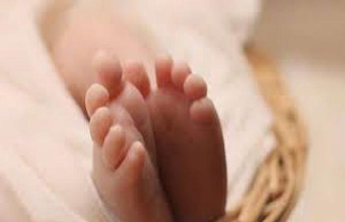 العثور على جثة رضيع عمره يوم في الباجور بالمنوفية