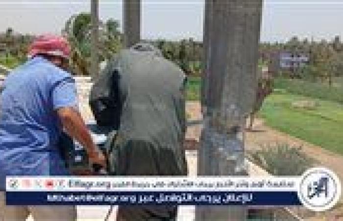بالبلدي: إزالة
      50
      حالة
      تعدي
      على
      أراضي
      زراعية
      بأسيوط