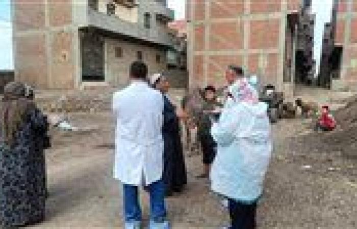 تحصين 49 ألف رأس ماشية ضد الحمى القلاعية وحمى الوادي المتصدع بالغربية