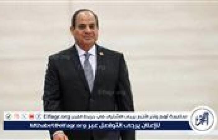نشاط الرئيس السيسي في النصف الأول من يوليو 2025.. زيارة غينيا والأمن الغذائي في صدارة الأولويات