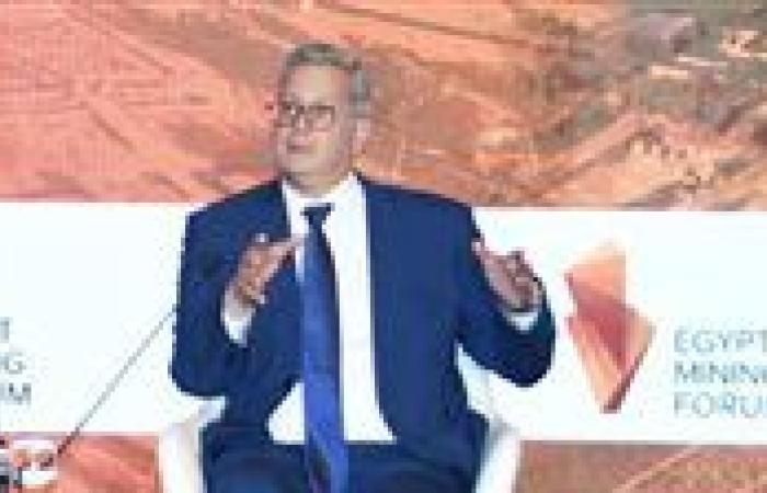 مصر تستعد لإجراء مسح جوي للبحث عن المعادن لأول مرة منذ الثمانينات