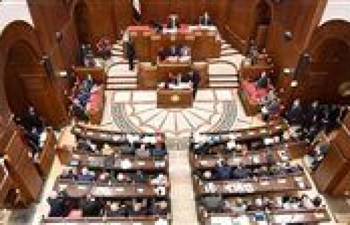 برلماني: خطة تحلية مياه البحر ركيزة أساسية لتحقيق الأمن المائي والتنمية العمرانية المستدامة