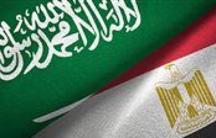 وزير الخارجية: نرفض أي محاولات يائسة للمساس بالعلاقات المصرية - السعودية