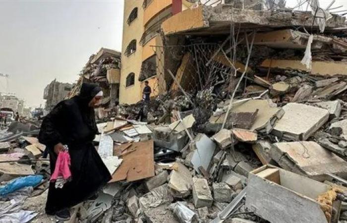 نائبة رئيس منظمة المحامين الأوروبيين: ما يحدث في غزة إبادة جماعية.. وإسرائيل «دولة مارقة»