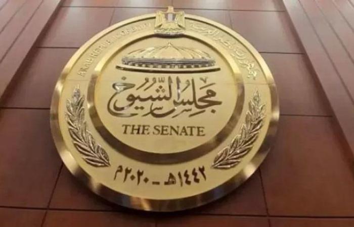 428 مرشحًا.. «الوطنية لـ الانتخابات» تعلن القائمة النهائية لـ مرشحي مجلس الشيوخ 2025