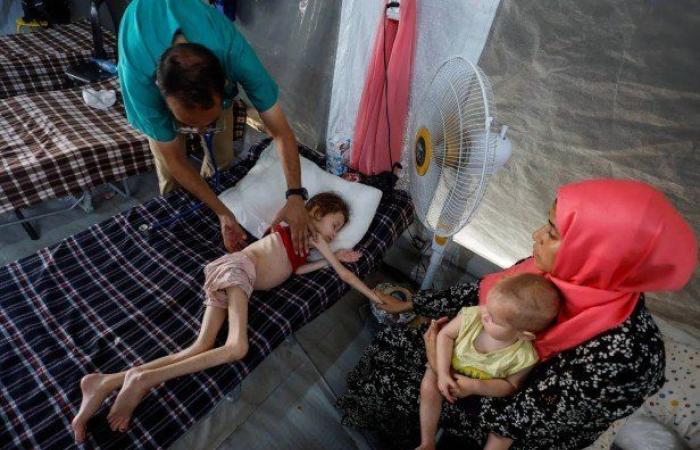 استشهاد طفلة فلسطينية بسبب الجوع في دير البلح وتحذير من مجاعة تهدد آلاف الأطفال في غزة
