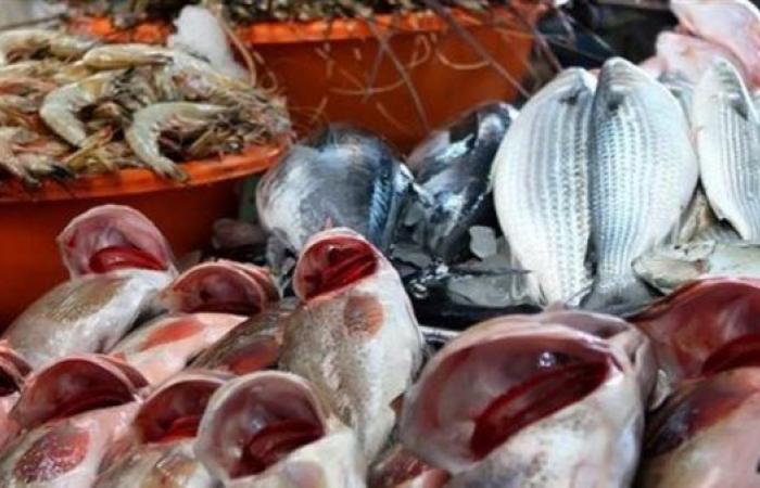 أسعار الأسماك اليوم الجمعة 18 يوليو 2025.. استقرار نسبي في سوق العبور