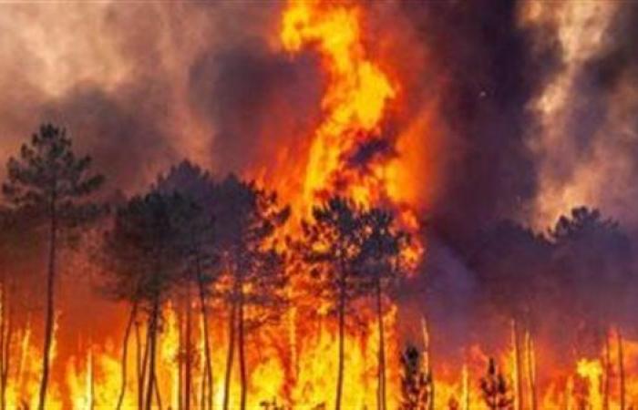 اندلاع حريق غابات في ماليزيا واستنفار لفرق الإطفاء