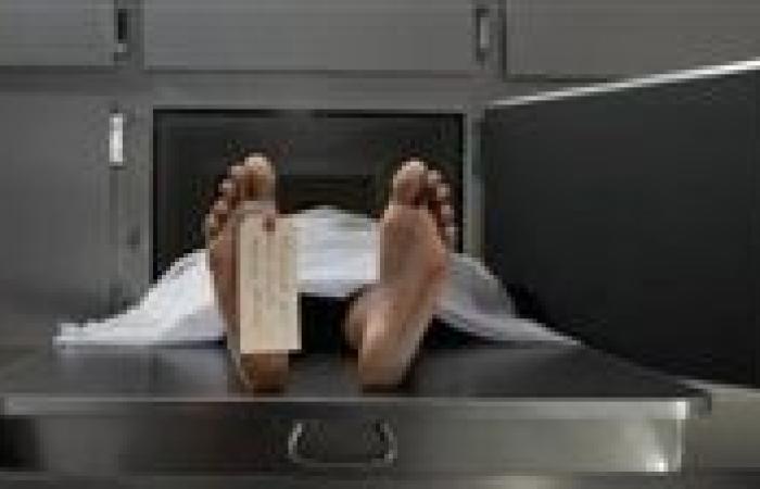 جريمة في جوال..شاب يقتل والدة صديقه ويلقي بجثتها في ترعة بالقليوبية