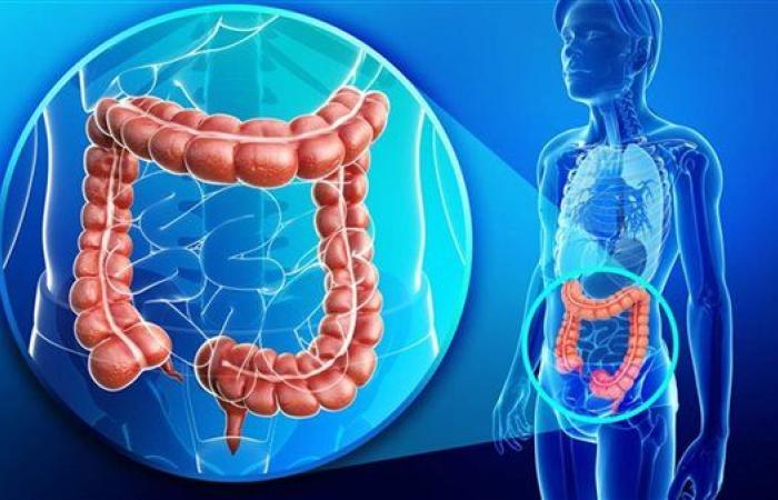 4 وصفات طبيعية فعالة لتطهير القولون وتعزيز الهضم.. تعرف عليها