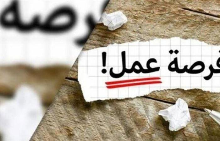 200 فرصة عمل براتب 9200 جنيه شهريا.. اعرف التخصصات والشروط المطلوبة