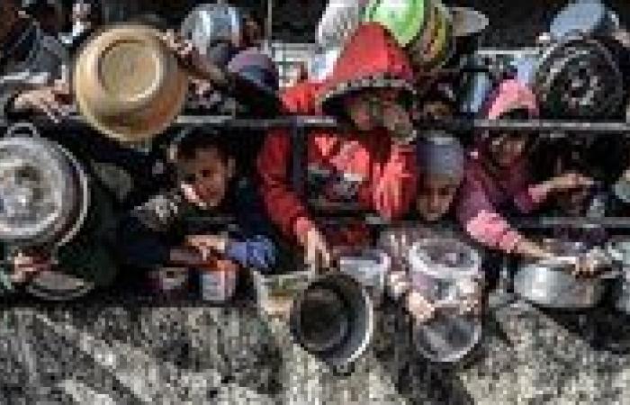 على وقع الصحون الفارغة.. الجوع في غزة يقتل الأطفال والأجنة في بطون الأمهات