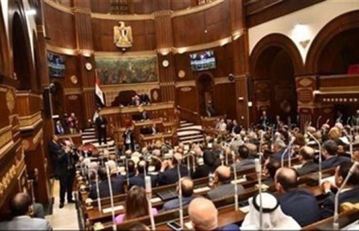 الهيئة الوطنية للانتخابات تُعلن ضوابط الدعاية لانتخابات مجلس الشيوخ 2025